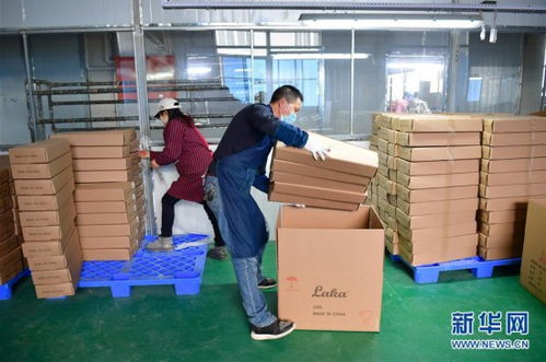 陜西城固樂器廠復工忙，樂器零售市場煥發新生機